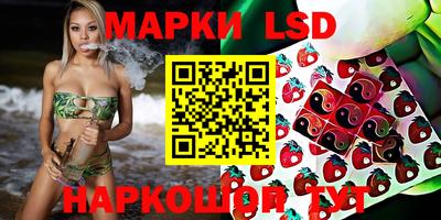 спиды Кимры