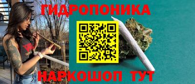 спиды Кимры