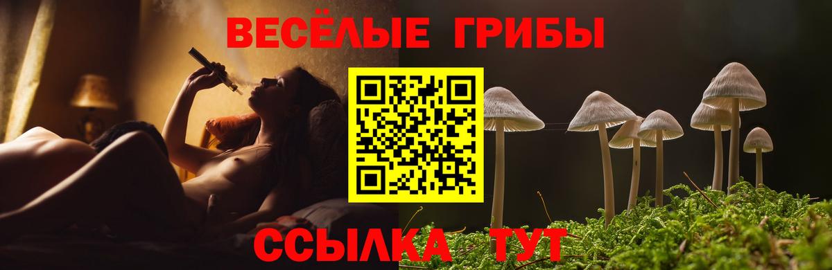 Псилоцибиновые грибы ЛСД  Вход с VPN  Черкесск 