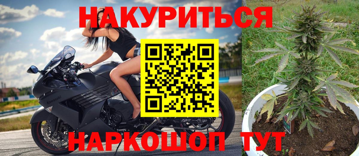 Марихуана сатива  Бошки марихуана сатива  Черкесск  Шишки марихуана MAZAR  Канабис White Widow  Вход с VPN 